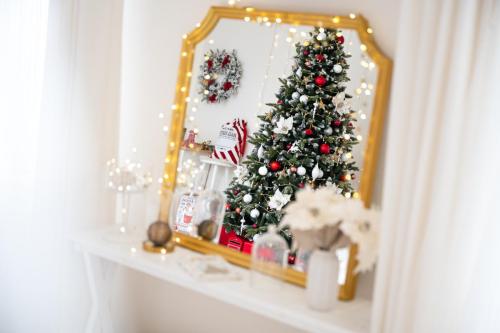 Pronajem-atelieru-LightStudio-Praha-Vanoce-2022114415-3023